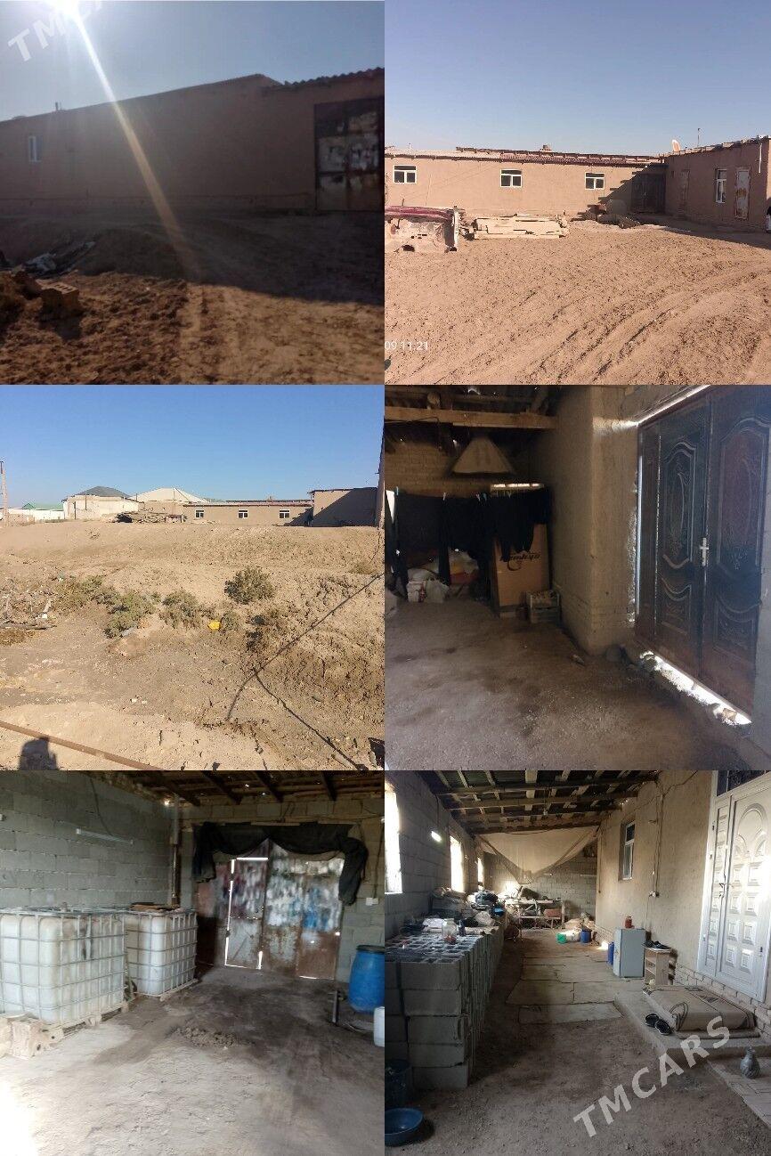 satlyk jay - Gurbansoltan Eje - img 1