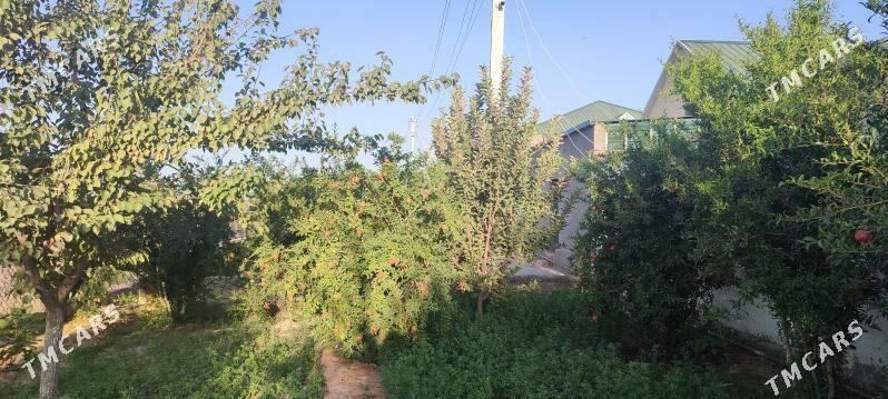 Anew plan - Änew - img 4