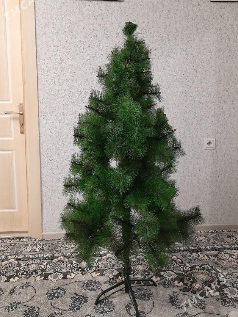 arça - Türkmenabat - img 2