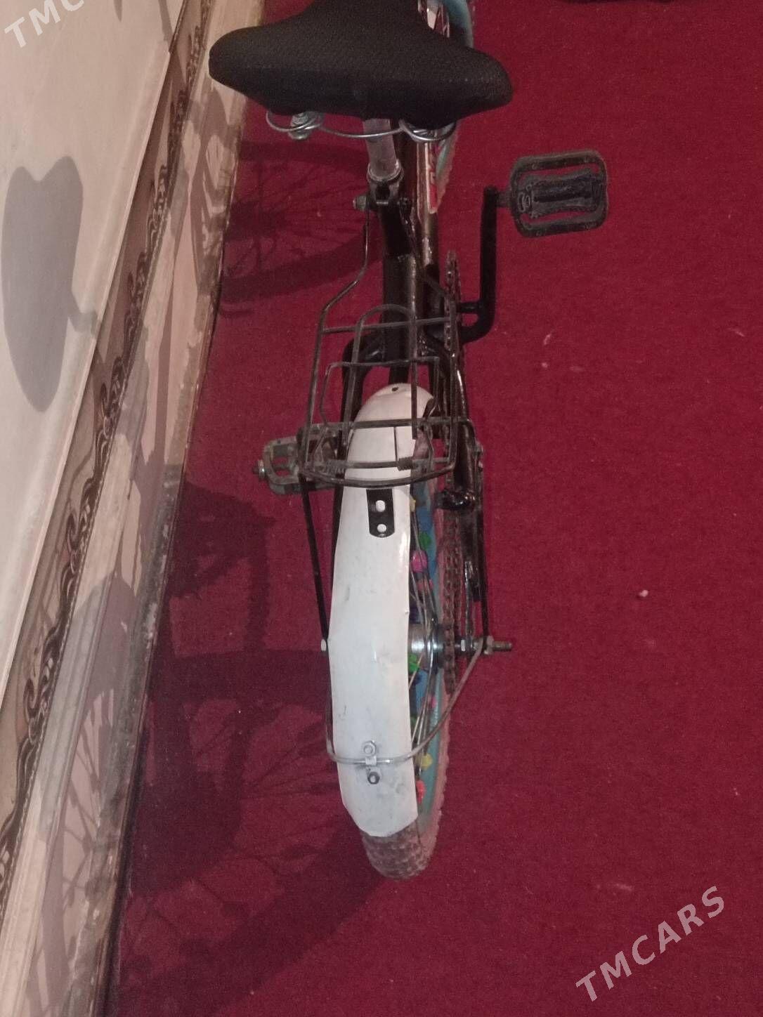 Welsepet - Дашогуз - img 4