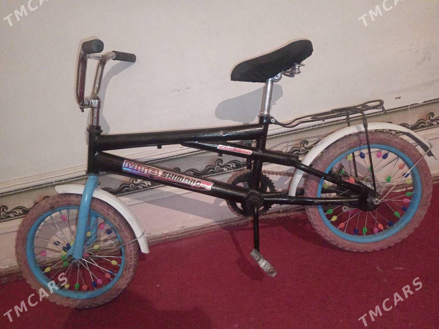 Welsepet - Дашогуз - img 2