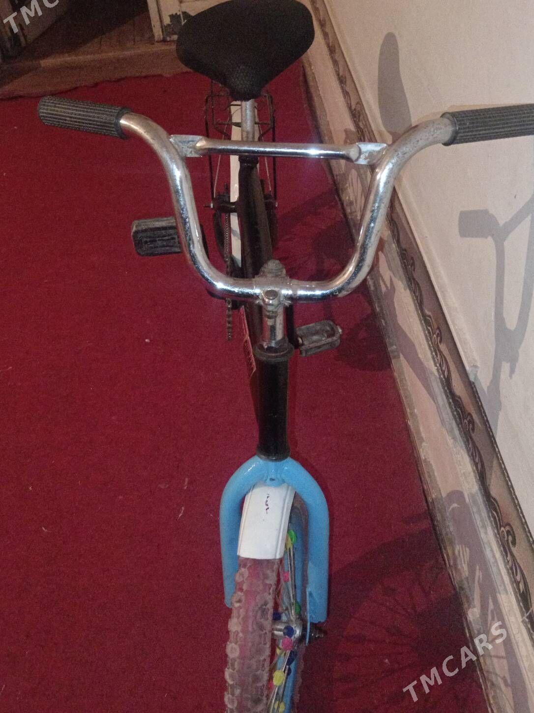 Welsepet - Дашогуз - img 3