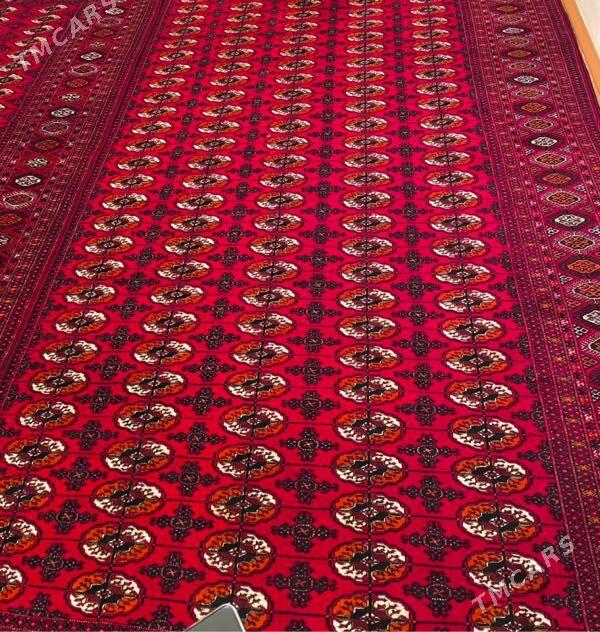 Turkmen El Halysy - Bedew - img 3