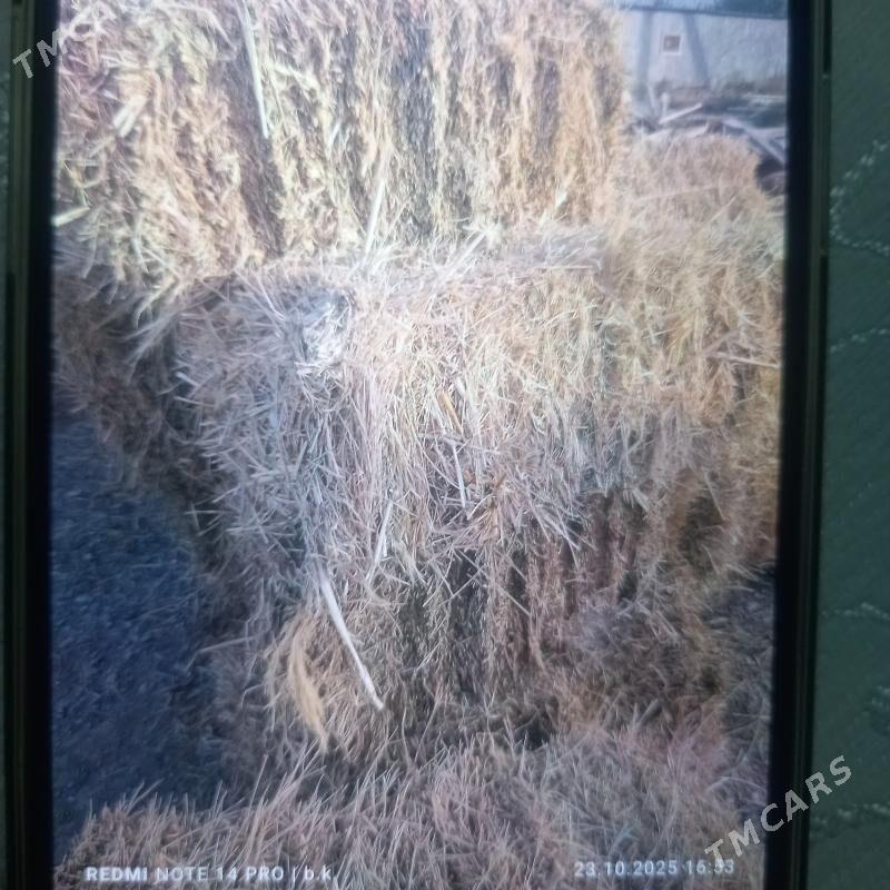 bede kp - Ашхабад - img 3