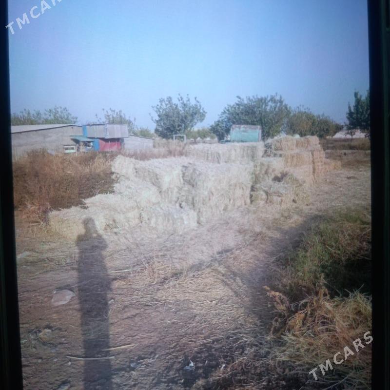 bede kp - Ашхабад - img 2