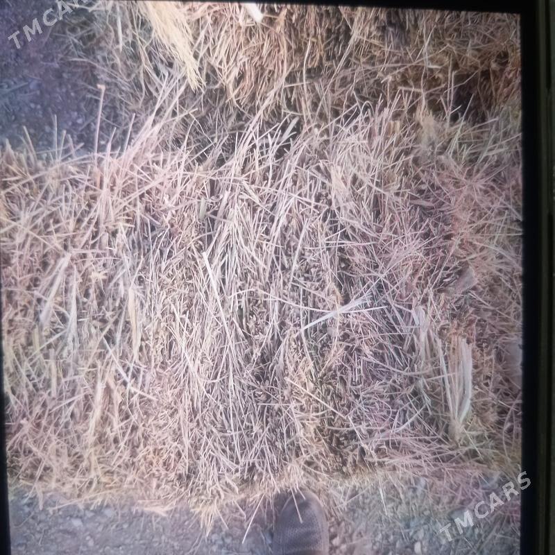 bede kp - Ашхабад - img 4