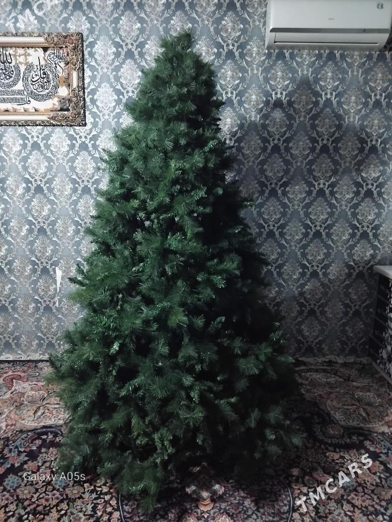 yolka arca - Aşgabat - img 1