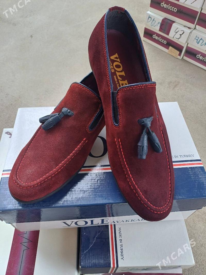 Zamyj kovisleri - Çoganly - img 10