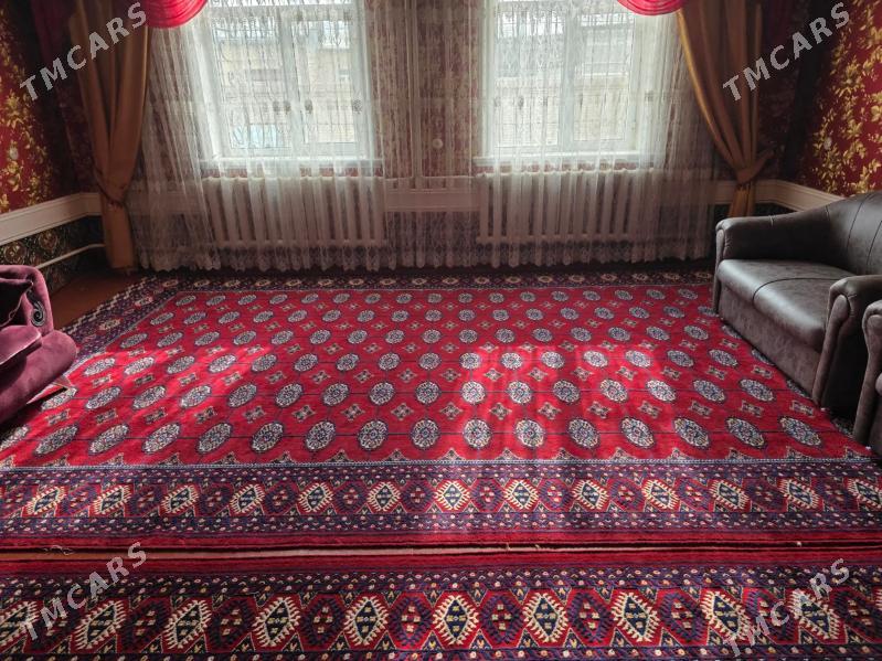 haly - Türkmenabat - img 2