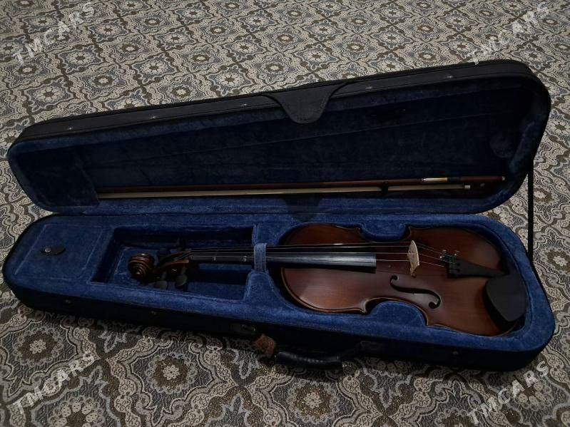 Skripka 4/4 - Сакарчага - img 6