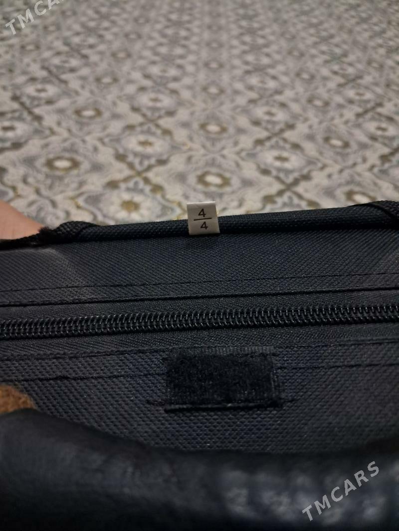 Skripka 4/4 - Сакарчага - img 3