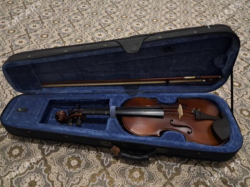 Skripka 4/4 - Сакарчага - img 2