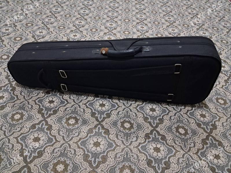 Skripka 4/4 - Сакарчага - img 4