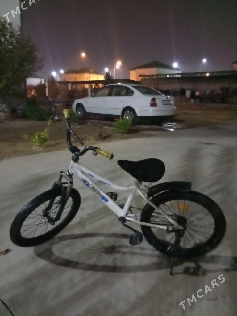 tigir - Тязе заман - img 2