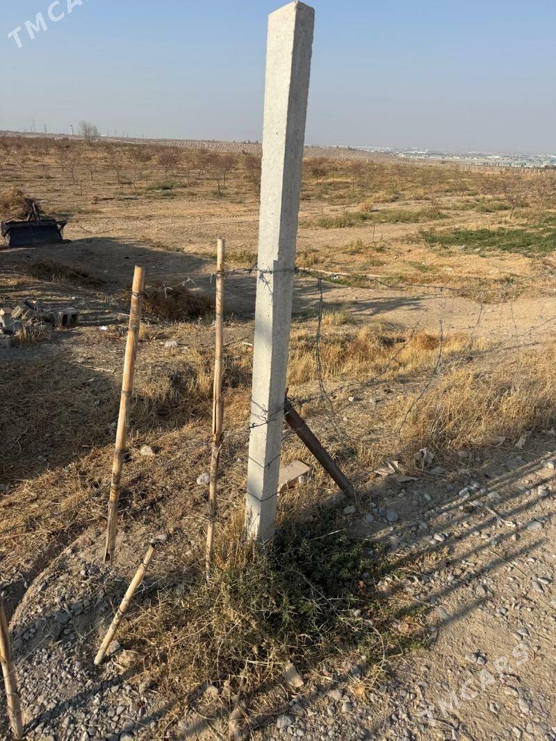 Pasinka uzum ucin - Ak bugdaý etraby - img 2