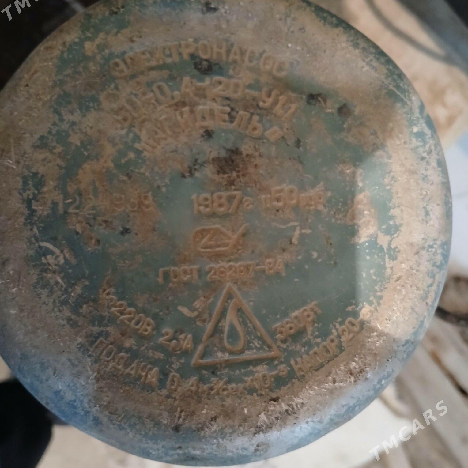 agadel nasos - Arkadag - img 2