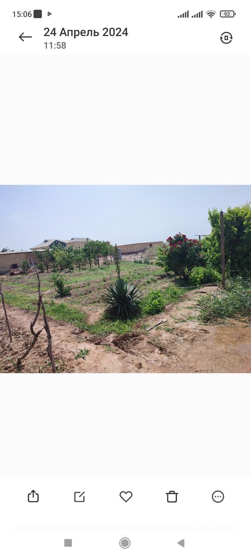 Gulanly satlyk jay - Mary - img 5