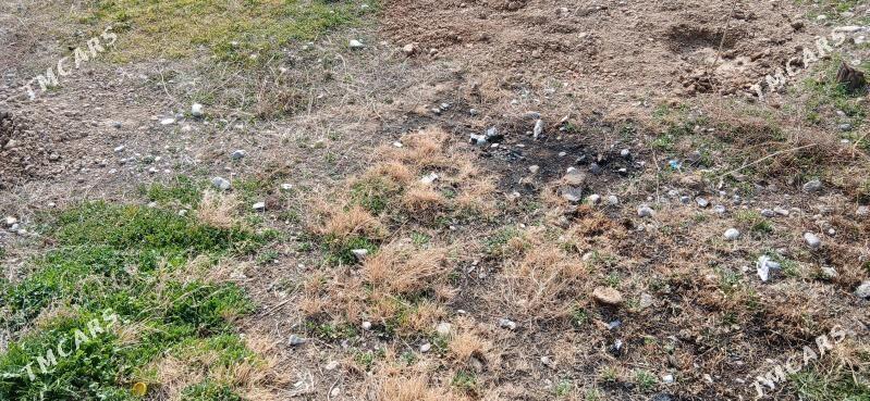 Boş Mellek - Кака - img 3