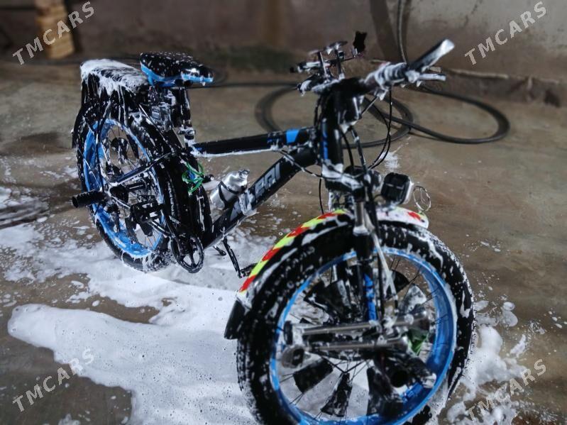 TEKERI ULAKAN - Дянев - img 2