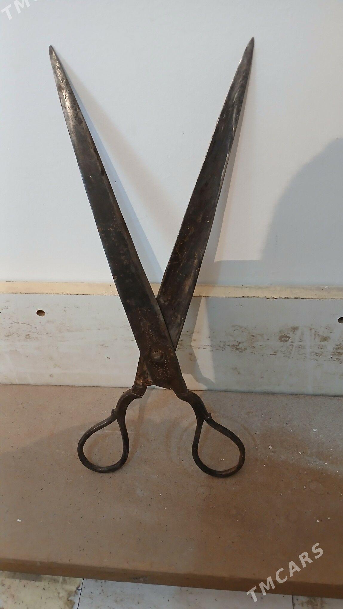 gayçy - Аркадаг - img 3