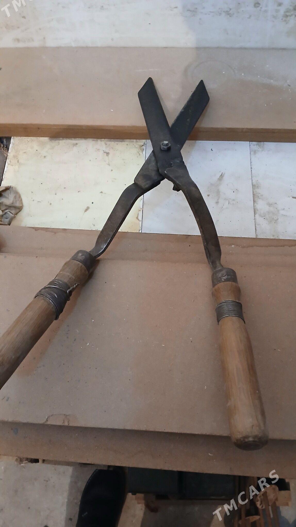 gayçy - Аркадаг - img 2