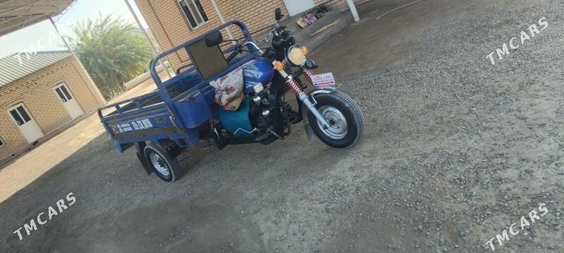 Fekon FK200-14G 2015 - 16 000 TMT - Sakarçäge - img 5