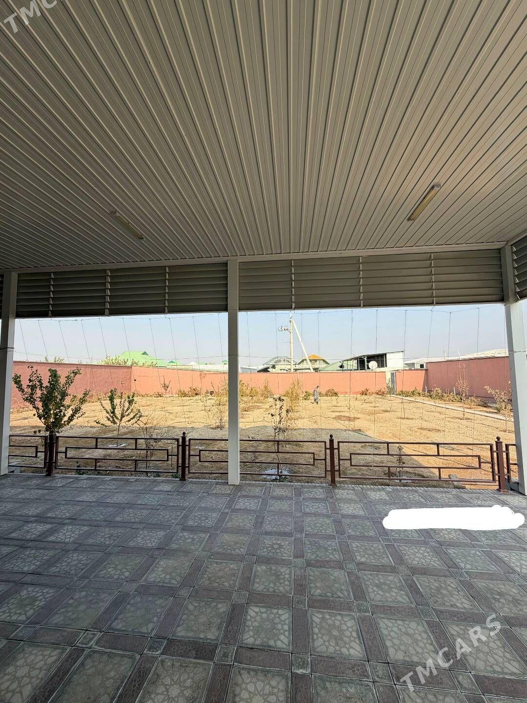 Anew Magtymguly 32 sotuk - Änew - img 6