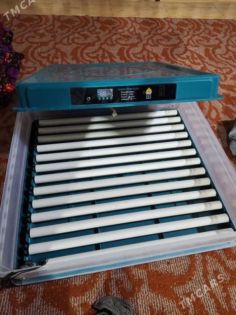 inkubator140 yumurtkalyk - Сакар - img 2