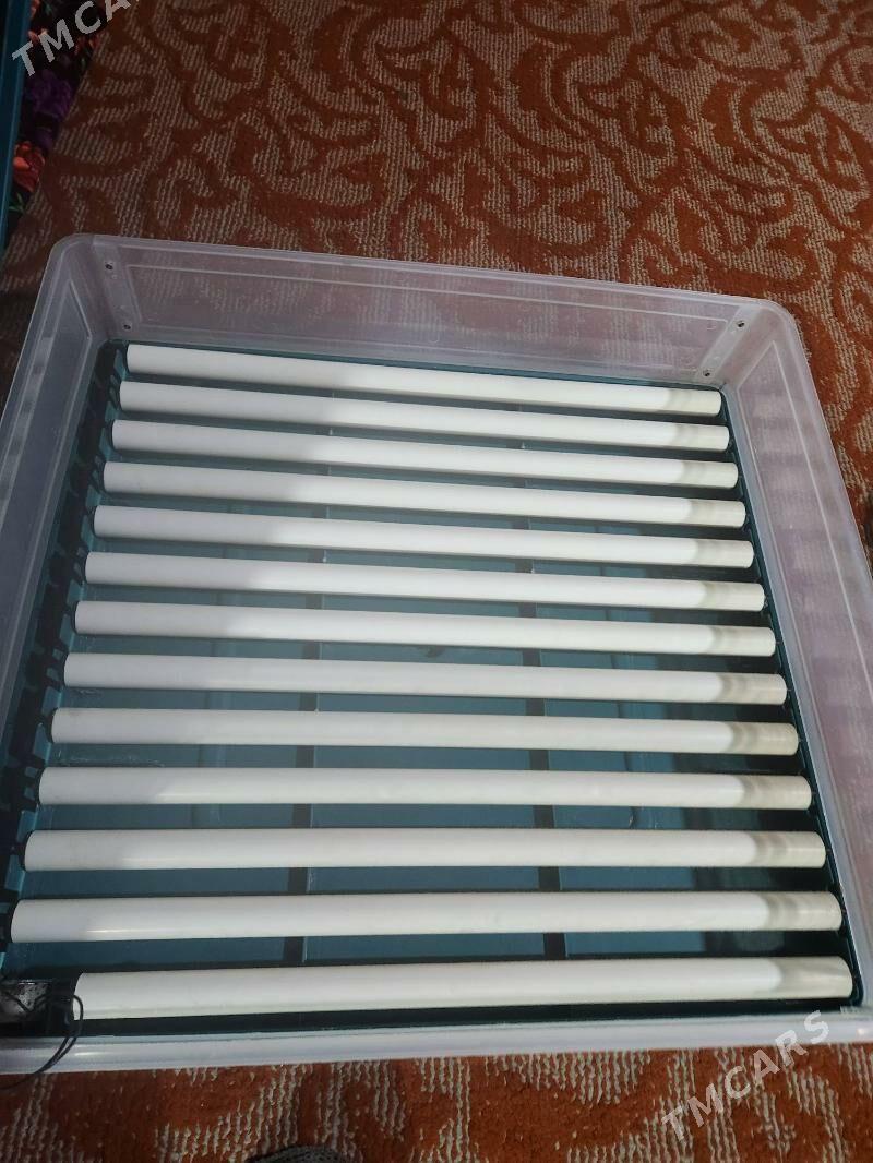 inkubator140 yumurtkalyk - Сакар - img 3