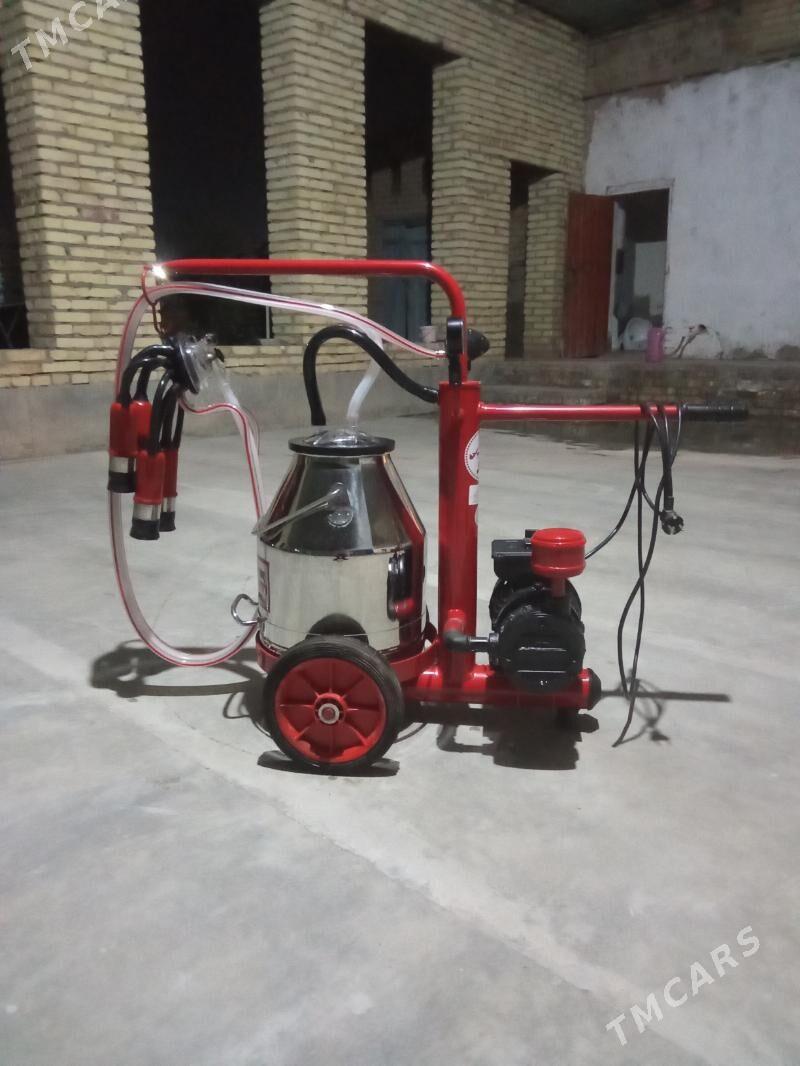 suyt masinka - Чарджоу - img 5