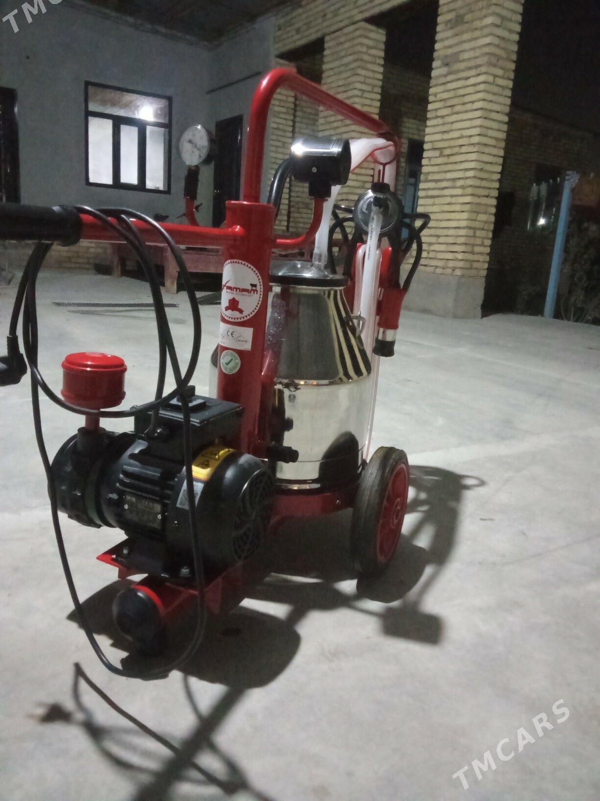 suyt masinka - Чарджоу - img 2