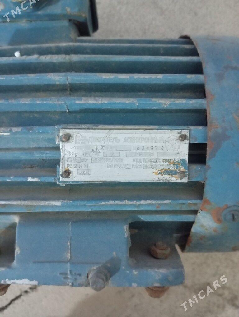 Dwizok - Türkmenbaşy - img 2