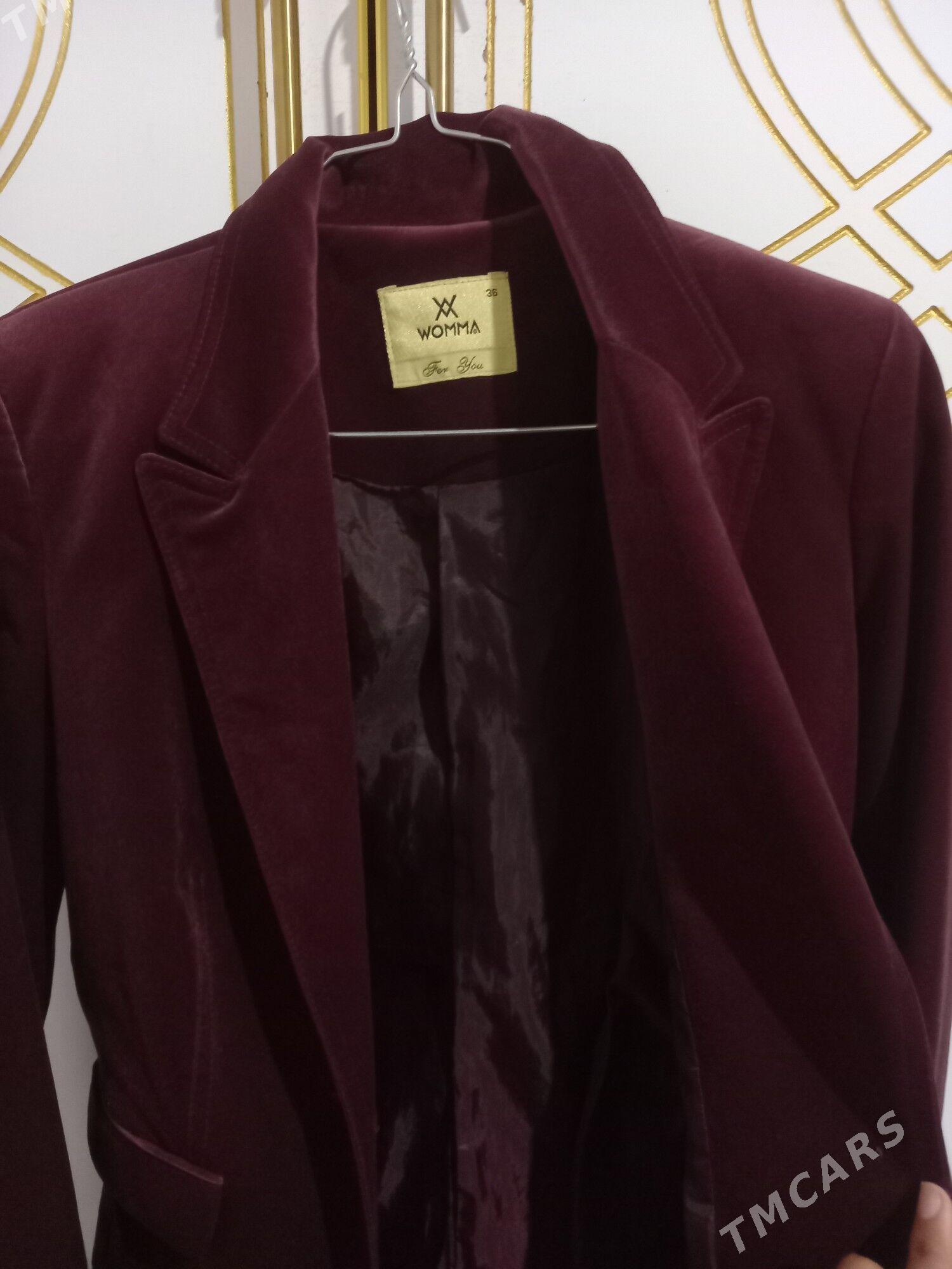 kasdyum - Daşoguz - img 2