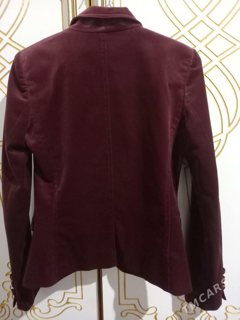 kasdyum - Daşoguz - img 4