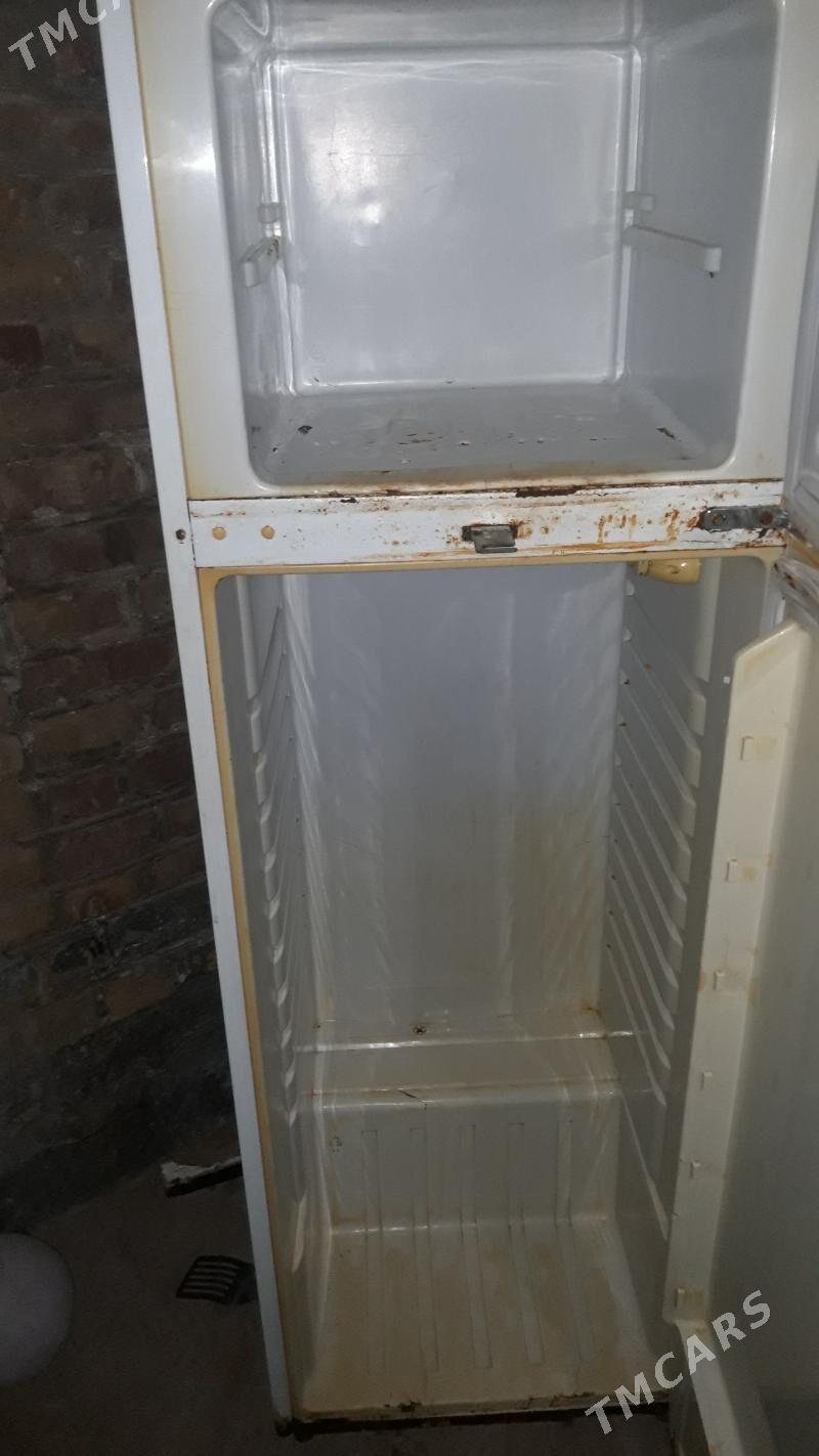 Haladilnik orbika - Tejen - img 3