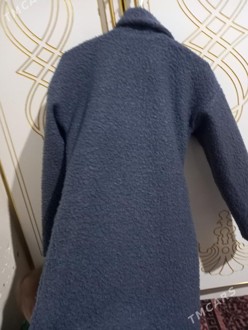 palto - Daşoguz - img 3