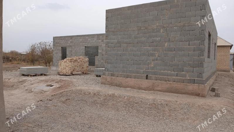 SATLYK jay - Tejen - img 1