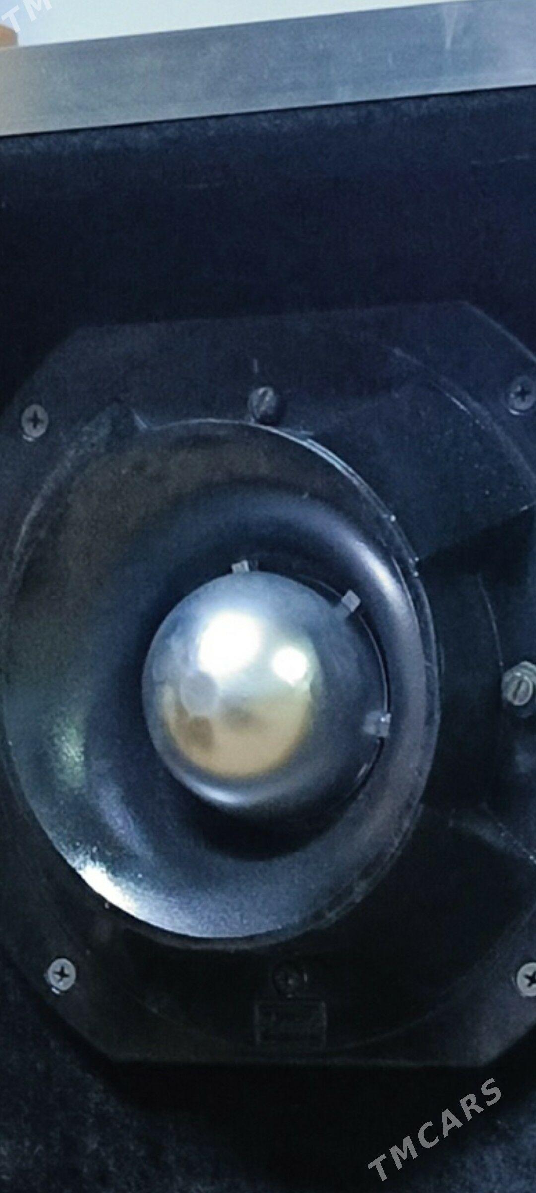 kalonka - Daşoguz - img 5