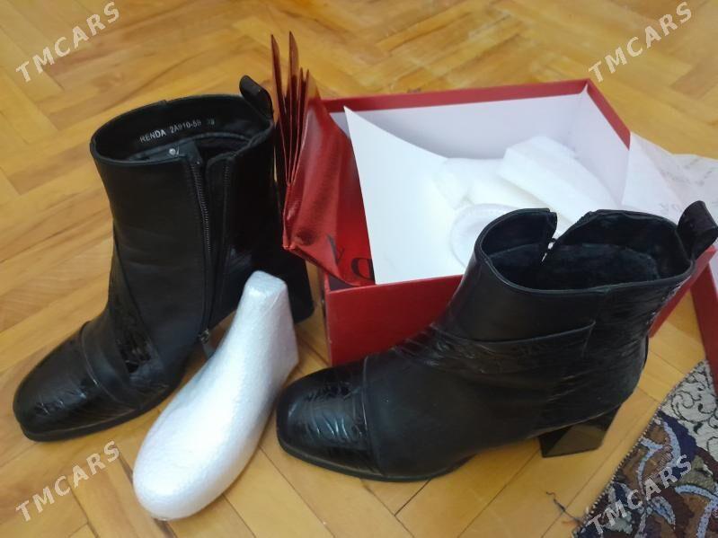 adik - Podwoýski köç. (Bitarap Türkmenistan şaýoly) - img 3