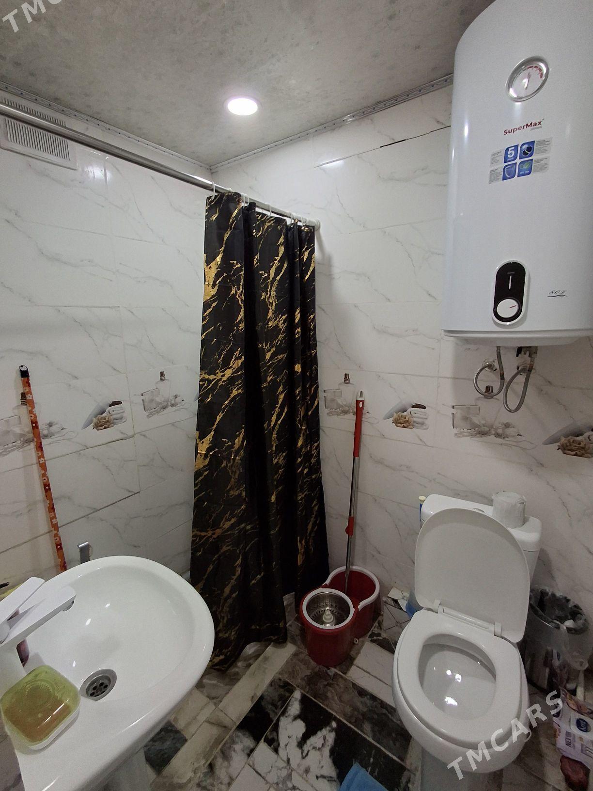 buzmeyin tomatny - Büzmeýin - img 5