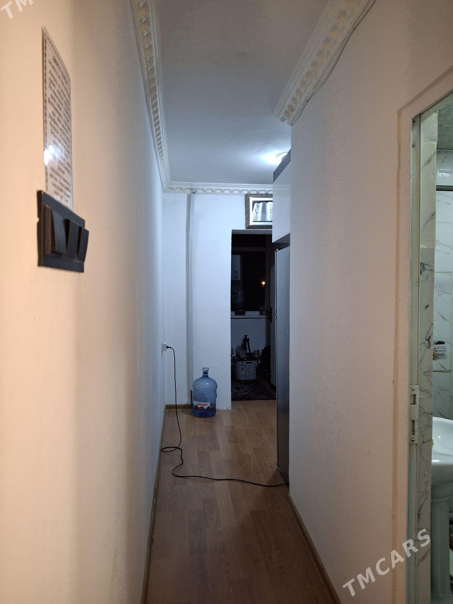 buzmeyin tomatny - Büzmeýin - img 2