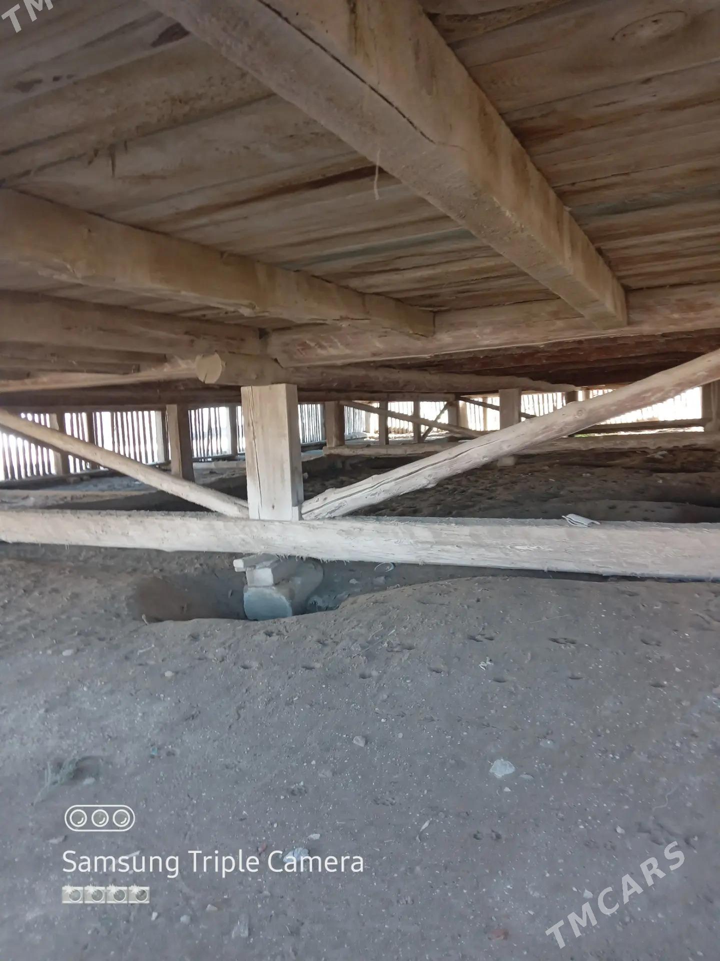 Agac jaý - Esenguly - img 2