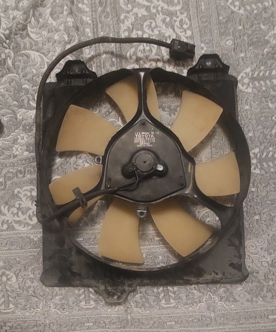 Lopus we Korpus 100 TMT - Ашхабад - img 2