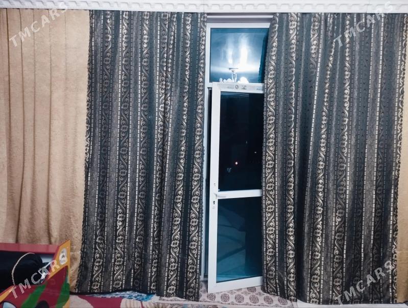 arenada jay - Bagyr - img 2