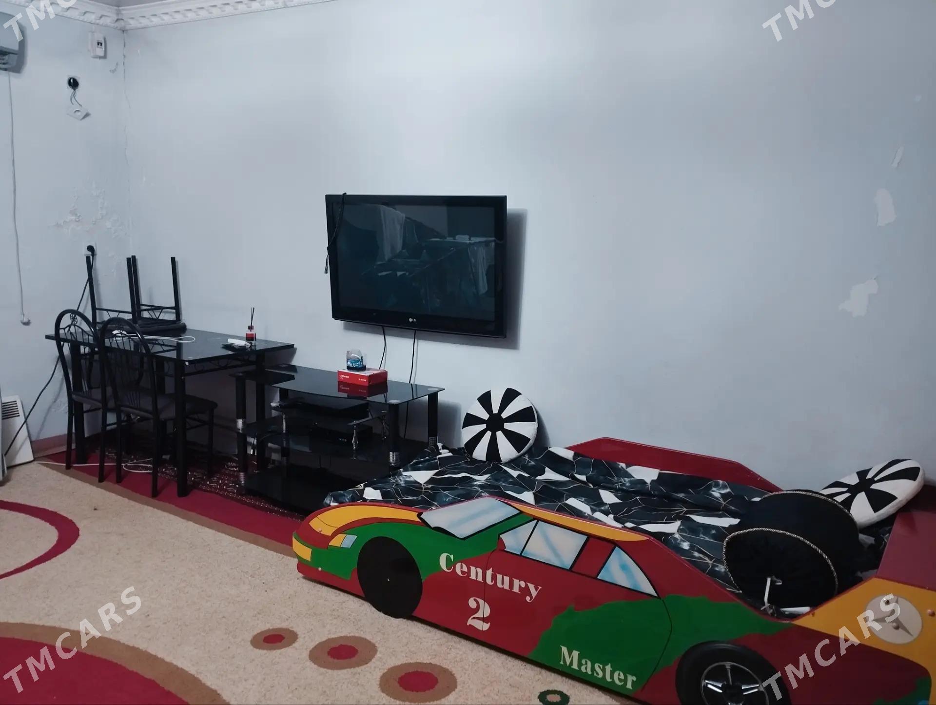 arenada jay - Bagyr - img 1