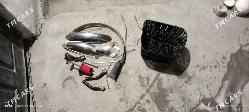 Kama tejen - Tejen - img 5