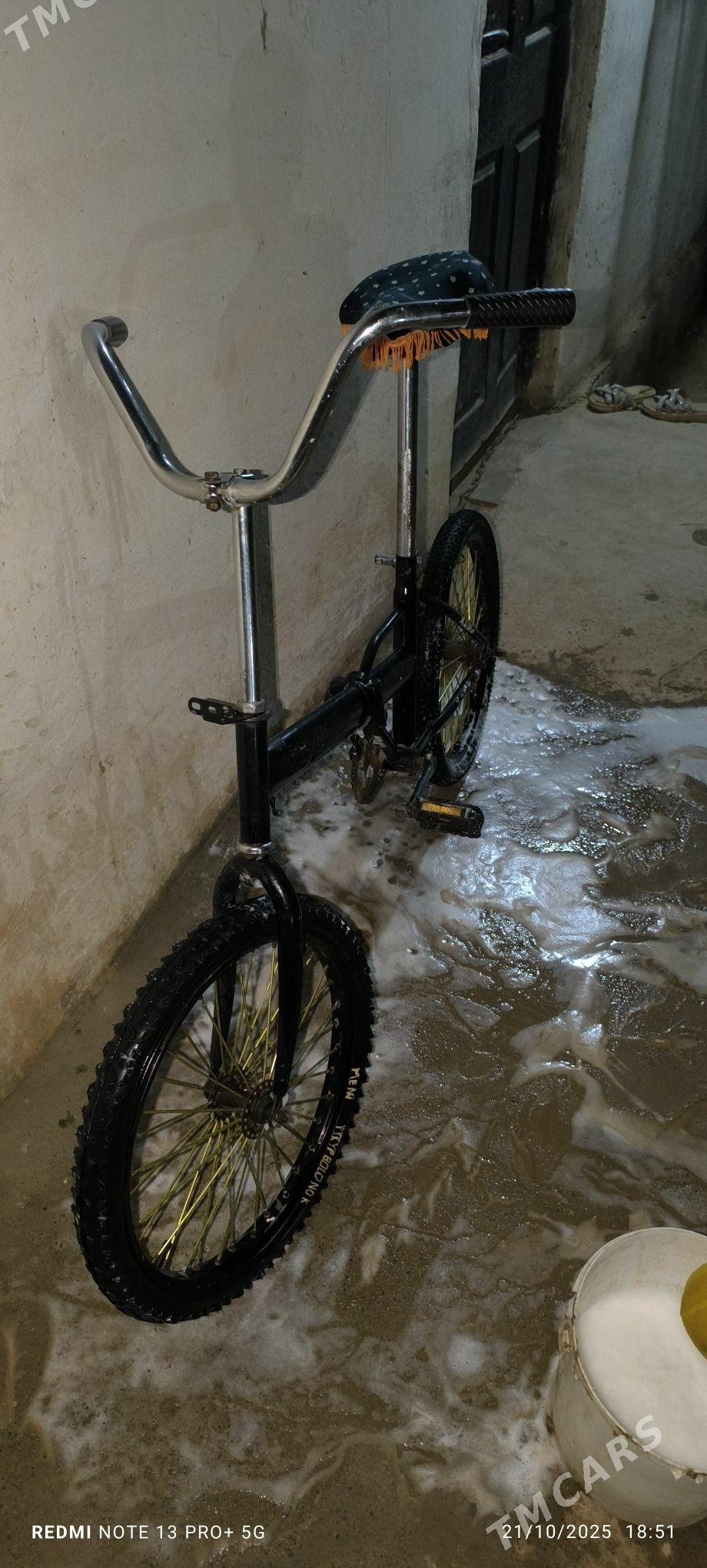 Kama tejen - Tejen - img 2