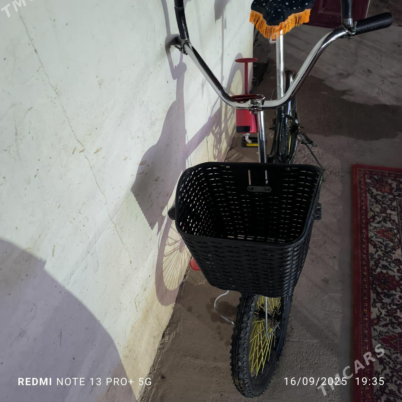 Kama tejen - Tejen - img 7