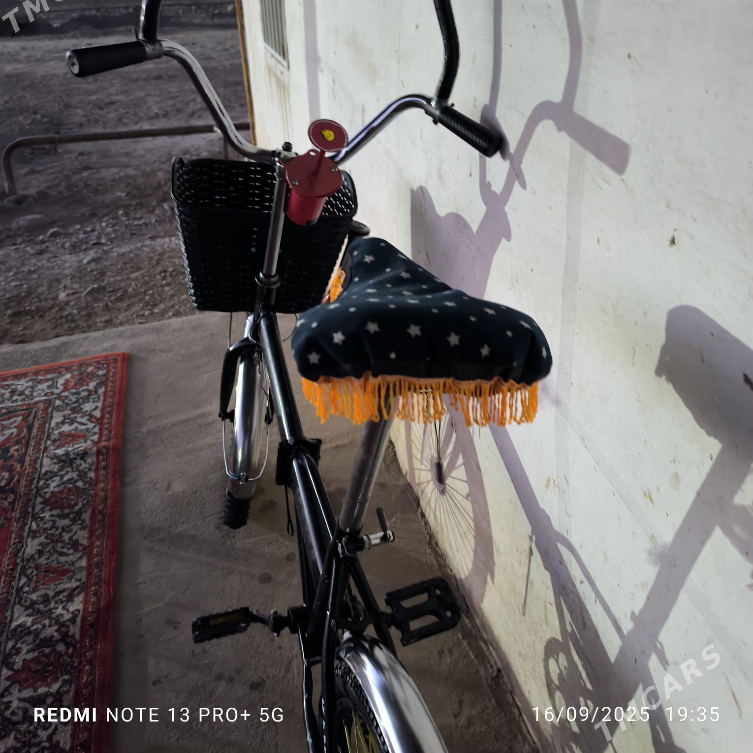 Kama tejen - Tejen - img 8