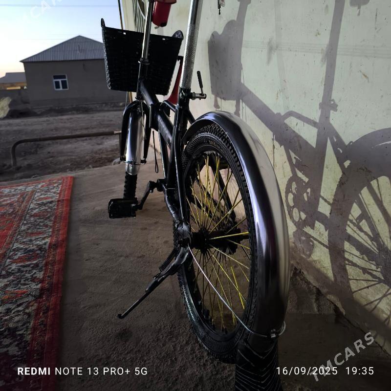 Kama tejen - Tejen - img 6